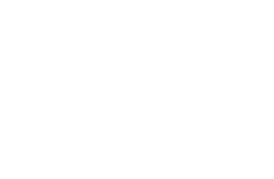 maincubes Secure Datacenters